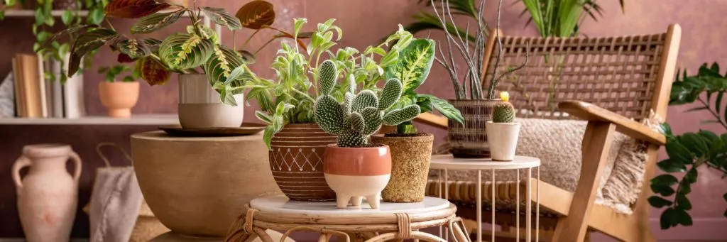Décoration extérieur / jardin